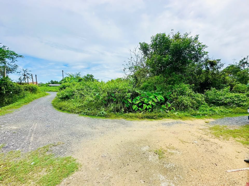 Đất nền 1000m² Ấp Cây Da, Tây Ninh chỉ 1,7 tỷ - Sổ hồng riêng!