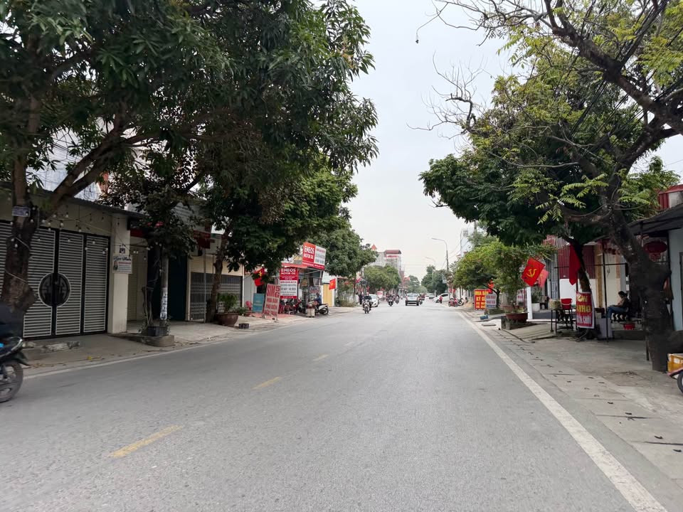 Đất nền mặt đường 208 An Dương 168m² giá 3 tỷ - Cơ hội đầu tư hiếm có!