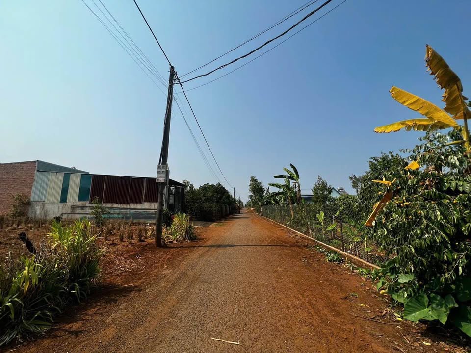 Lô đất hẻm chính 193 Nguyễn Kiệm 255m² - Giá thỏa thuận, vị trí đắc địa!