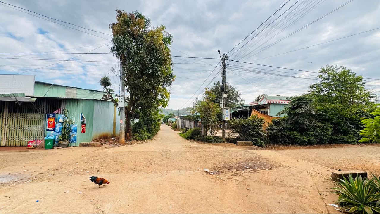 Đất nền góc 2 mặt hẻm Hàn Mạc Tử, 144m² giá 1.49 tỷ - Thương lượng nhẹ!