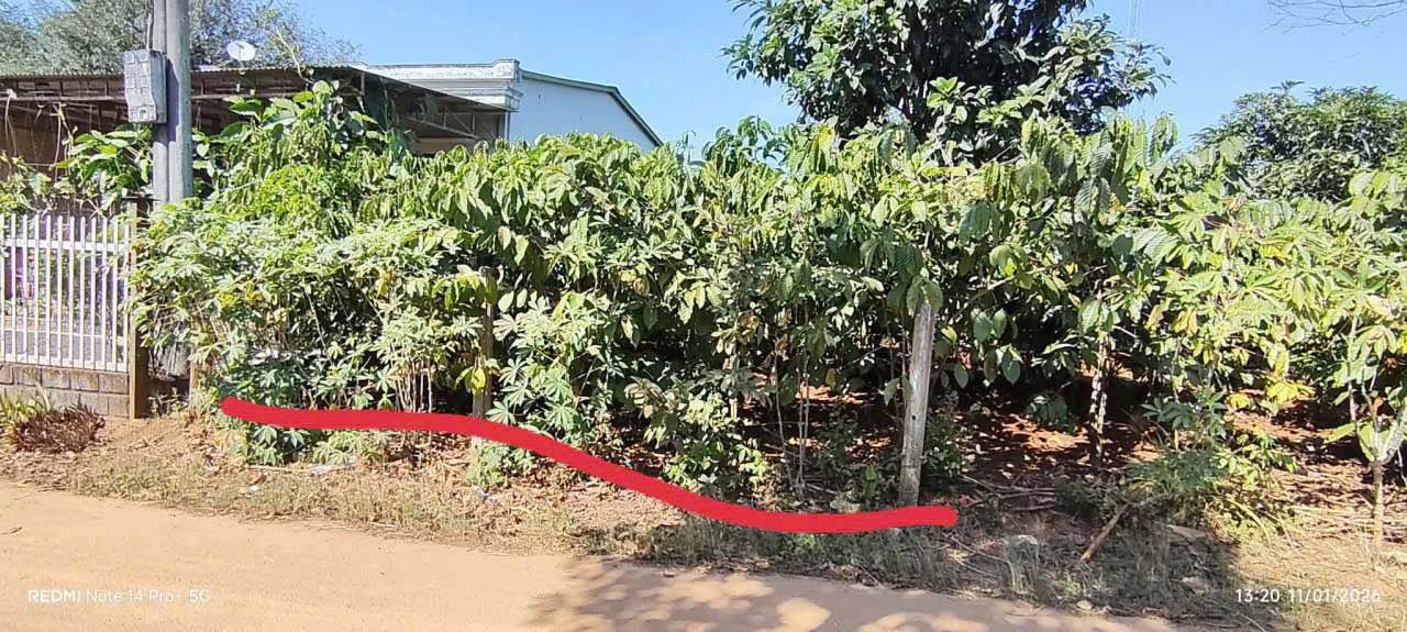 Đất nền Chư Păh 885m² giá 1.785 tỷ - Cơ hội đầu tư sinh lời!