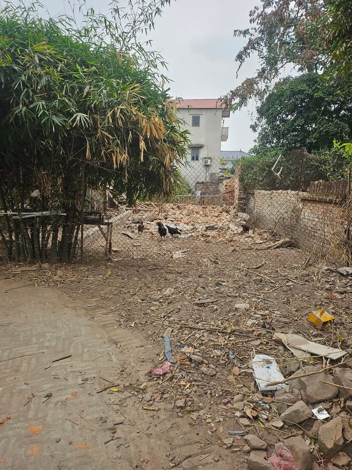 Đất nền Yên Lư Bắc Giang 100m² giá 1 tỷ - Đầu tư sinh lời hấp dẫn!