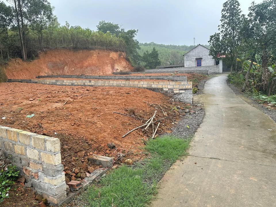 Đất nền xã Phấn Mễ, huyện Phú Lương, 109m² giá 2 triệu - Cơ hội đầu tư hấp dẫn!