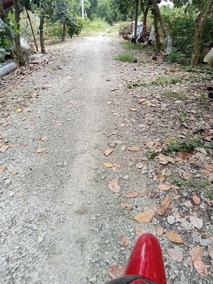 Đất nền Phường Mỹ Ngãi 650m² giá 520 triệu - Cơ hội đầu tư tuyệt vời!