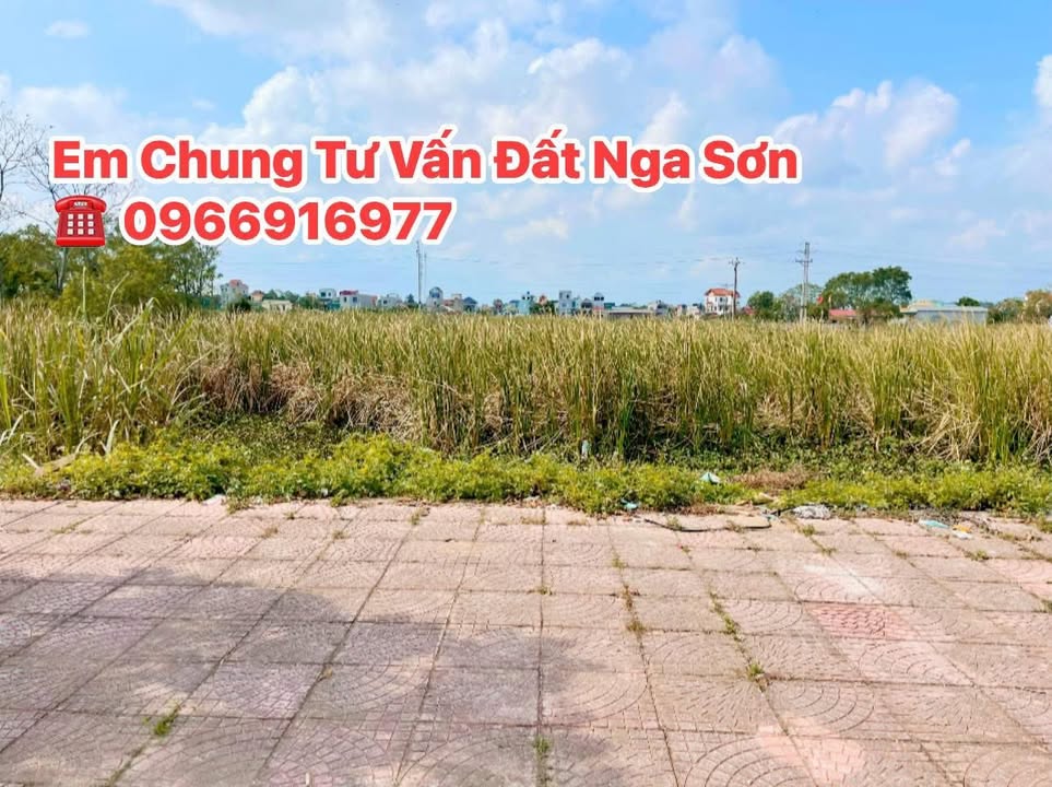 Đất nền hướng Đông đường Từ Thức, Nga Hải 100m² giá chỉ 1.4 tỷ - Cơ hội đầu tư tuyệt vời!
