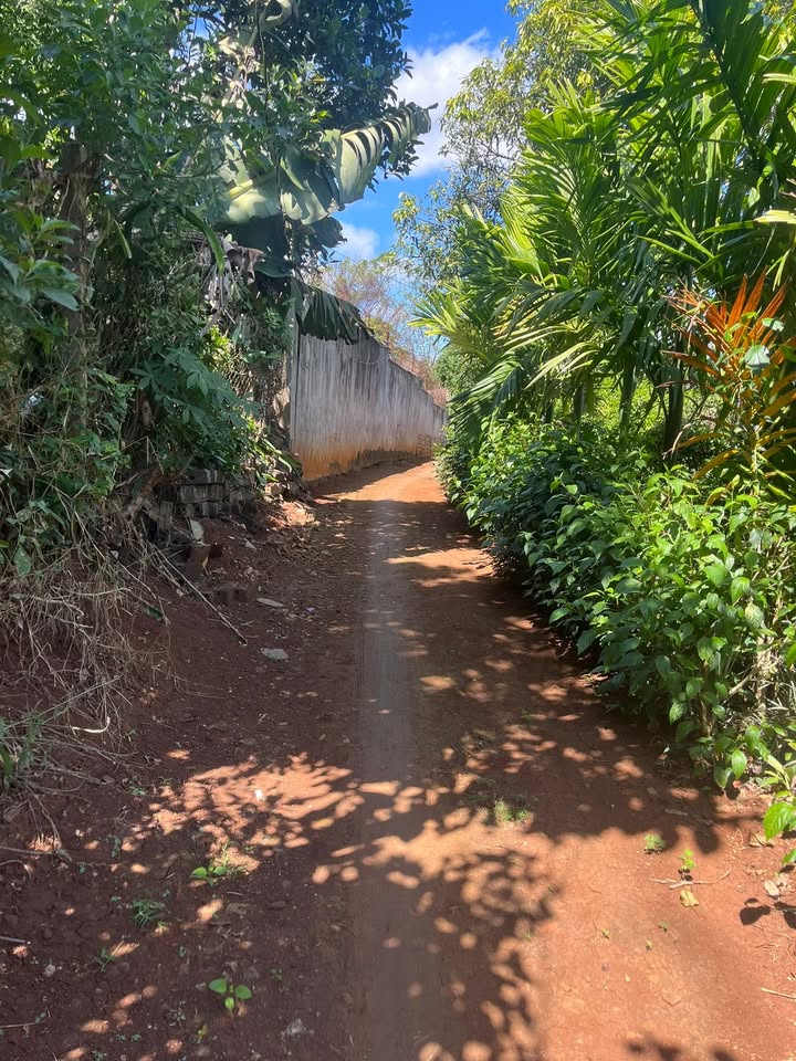 Đất thổ cư 125m² tại TDP9, Phường Đoàn Kết, Buôn Hồ - Giá chỉ 450 triệu!