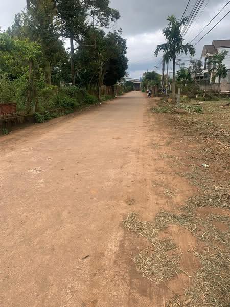 Đất thổ cư mặt tiền đường Yết Kiêu, thị xã Buôn Hồ 260m² giá chỉ 4.16 tỷ - Cơ hội đầu tư tuyệt vời!