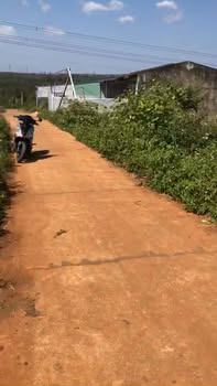 Đất nền tại buôn Tân Mai, xã Pơng Drang, 130m² giá 450 triệu - Cơ hội đầu tư tuyệt vời!