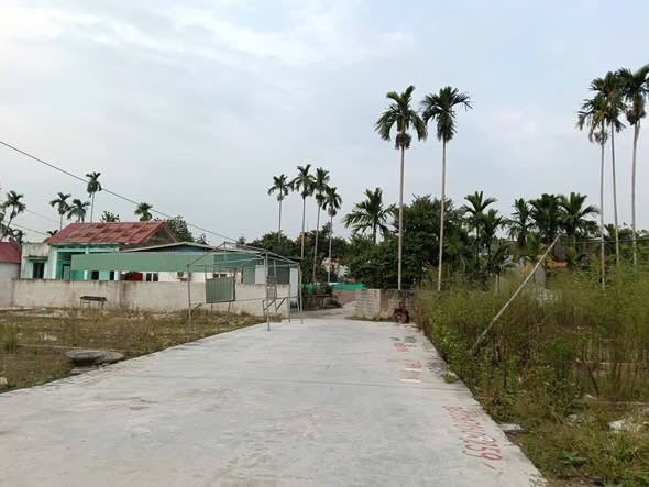 Đất chính chủ Hồng Thái An Dương 60m² giá 1.28 tỷ - Ô tô đỗ cửa!