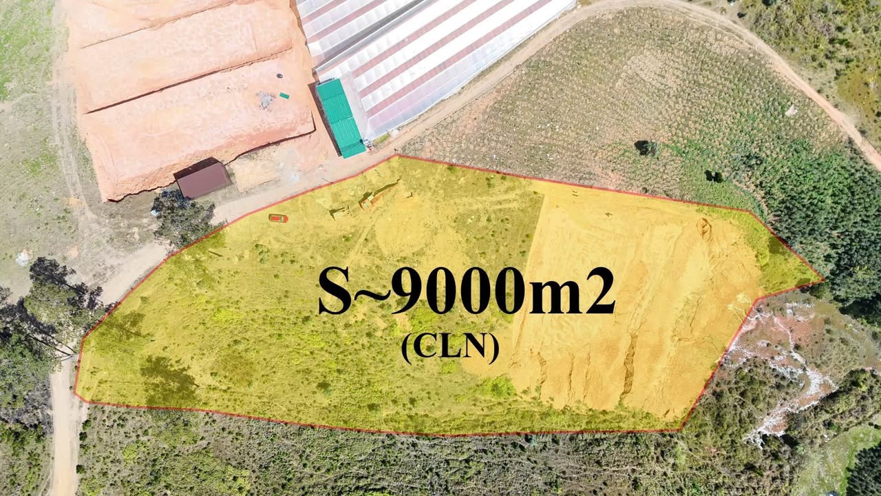 Đất nông nghiệp Đạ Nhim 9000m² giá 7.5 tỷ - Sổ đỏ chính chủ