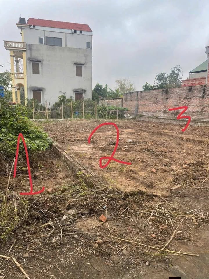 Đất nền Mỹ Hào 73m² giá 1 tỷ - Cơ hội đầu tư sinh lời ngay!