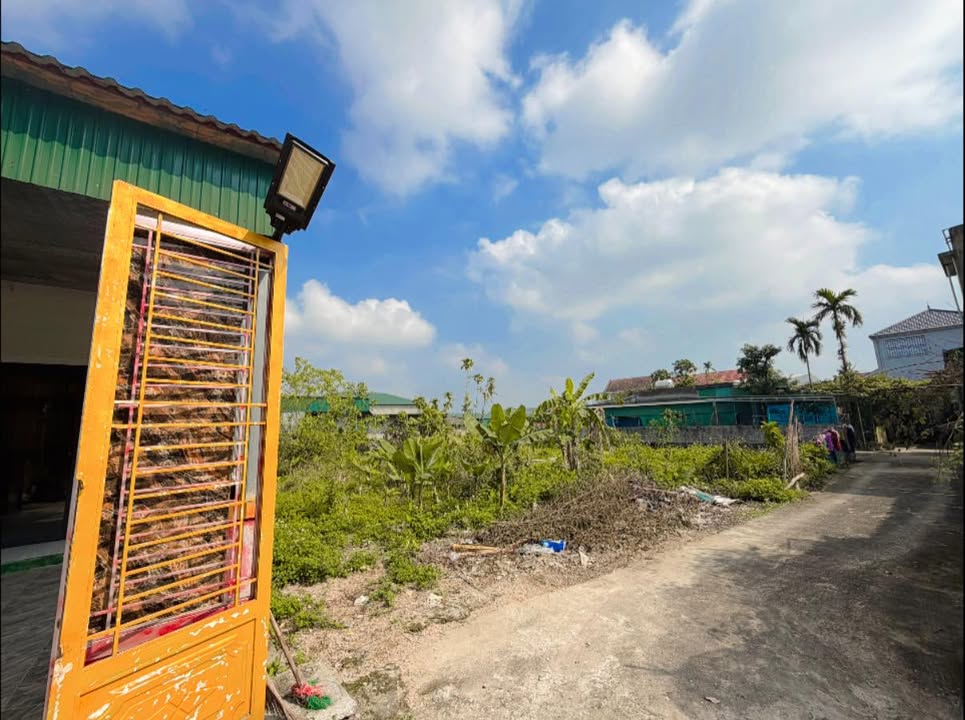 Đất thổ cư Thạch Đài 130m² giá 1.2 tỷ - Đường ô tô vào tận nơi!