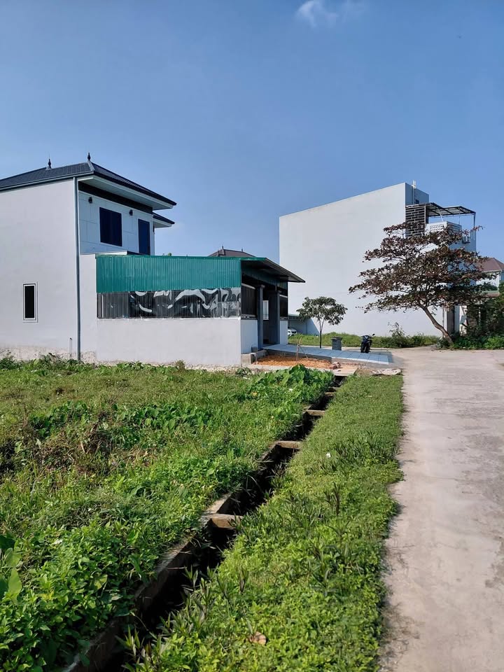 Đất nền ngõ Phượng, Hà Huy Tập, 198m² giá 3.7 tỷ - Vị trí đẹp, đầu tư sinh lời!