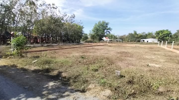 Đất thổ cư KP Lộc Chánh, An Tịnh 125m² giá chỉ 300 triệu - Sổ hồng riêng, công chứng nhanh chóng!