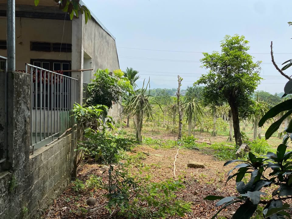 Đất nền Phường Minh Xuân - 160m² giá 1 tỷ - Đầu tư sinh lời ngay!