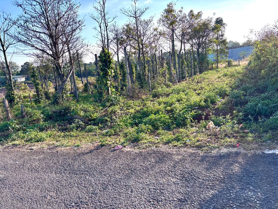 Bán mặt tiền Nguyễn Siêu, P. Diên Hồng, 162m² chỉ 1.2 tỷ - Đầu tư sinh lời!