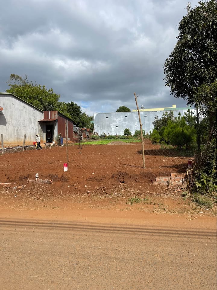 Đất nền Hẻm chính 89 Lý Nam Đế 139m² giá 1.25 tỷ - Đầu tư sinh lời ngay!