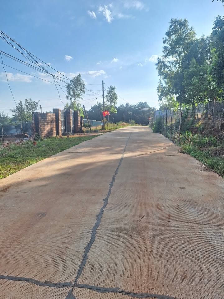 Đất nền hẻm 5 Râu, Hoàng Sa, 250m² - Giá tốt, thương lượng ngay!