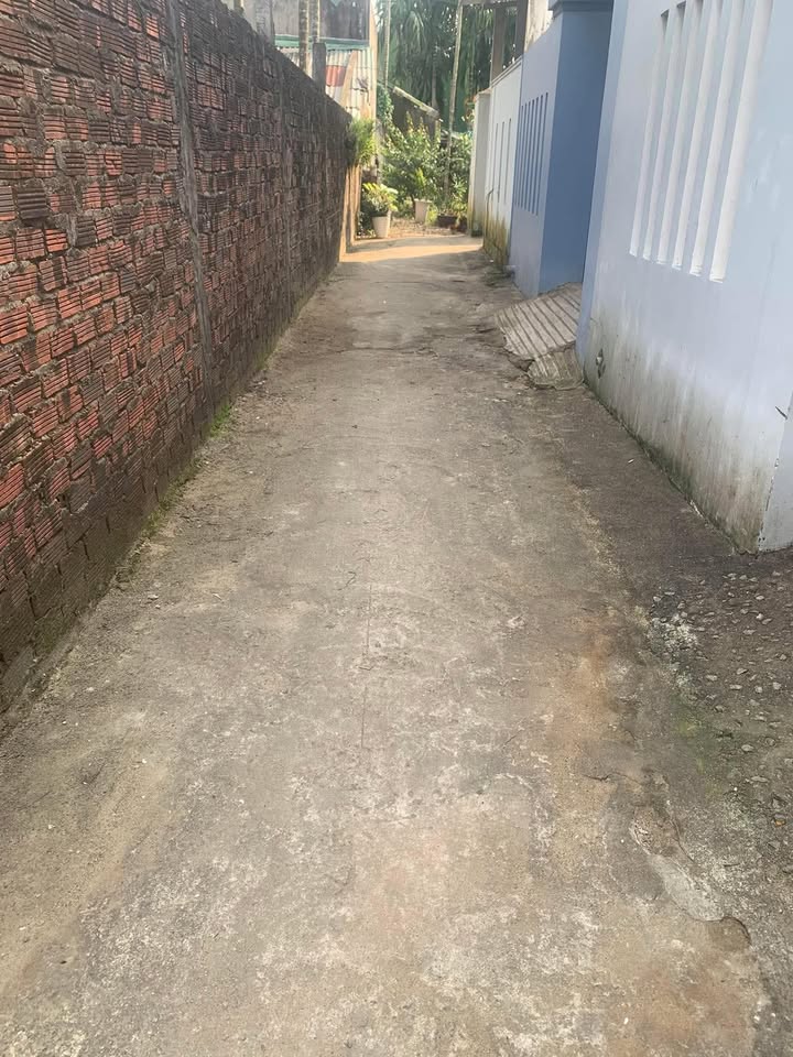 Đất hẻm ba gác 416 Nguyễn Trãi 50m² giá 400 triệu - Đất sạch đẹp, chính chủ bán!