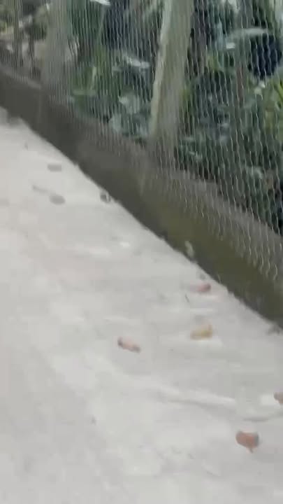 Đất nền Nghĩa Hòa, Tư Nghĩa 120m² giá 500 triệu - Sổ đỏ chính chủ!