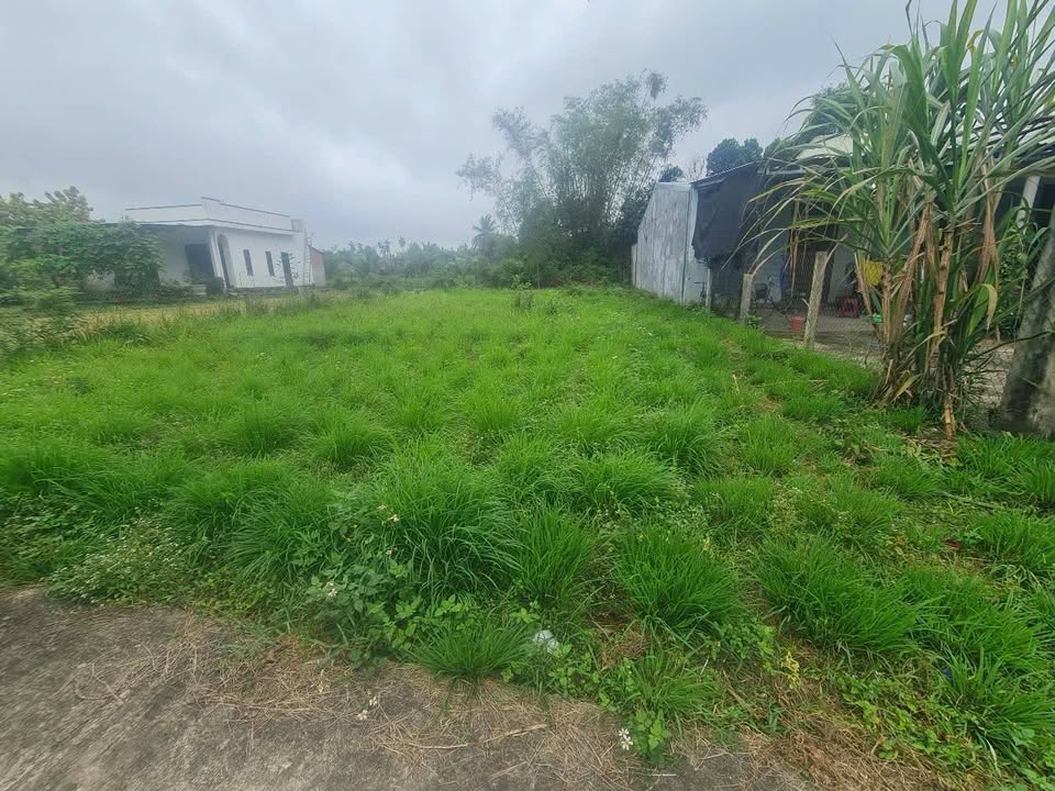 Đất nền Xã Nghĩa Thuận, Huyện Tư Nghĩa, 222m² giá chỉ 400 triệu - Cần bán gấp!