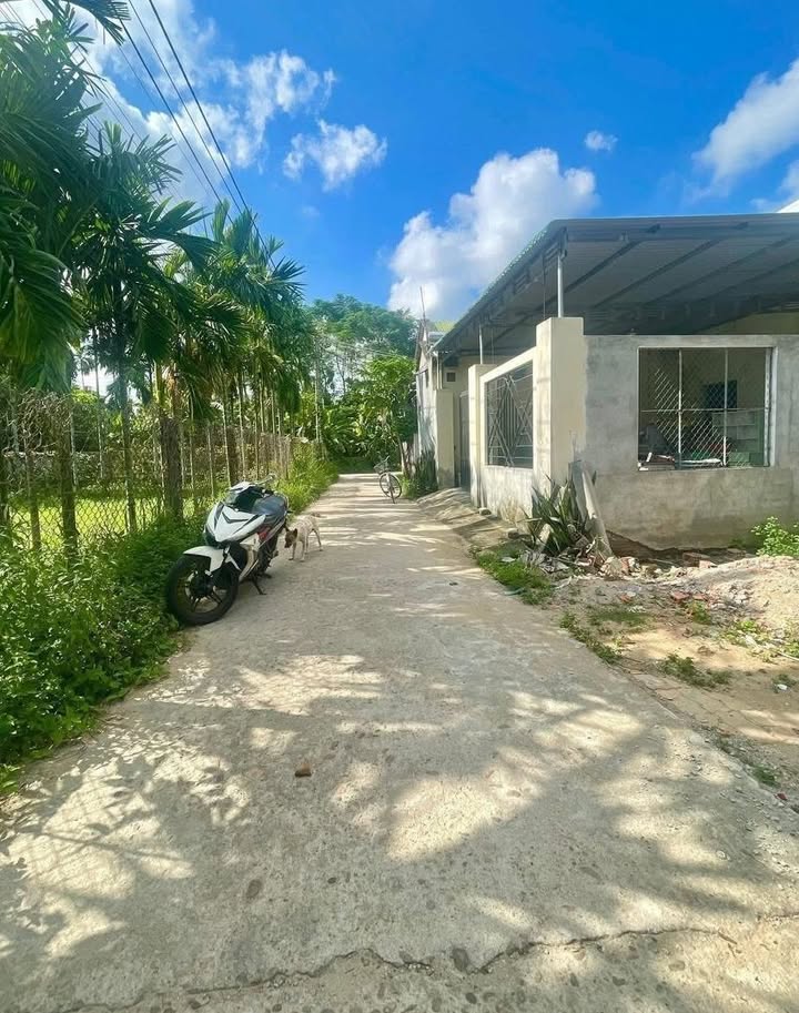 Đất hẻm Tế Hanh, Bình Sơn, 103m² giá 1,2 tỷ - Đường thông thoáng, xem pháo hoa gần!