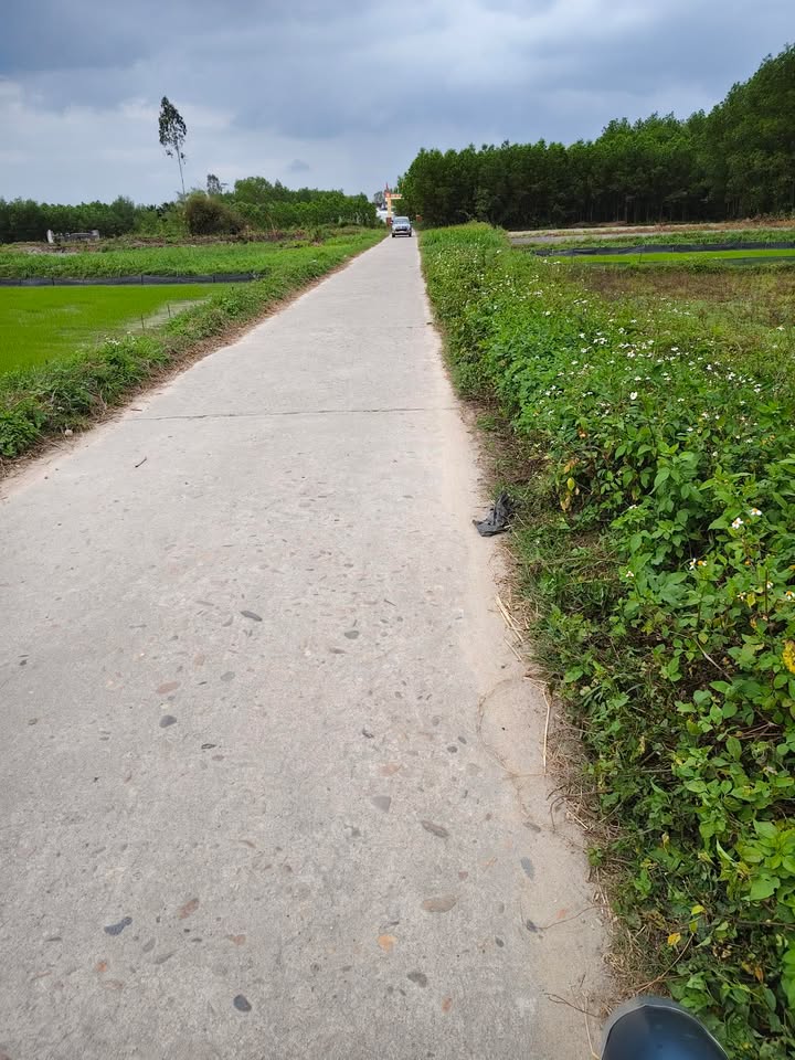 Đất nền đẹp tại xã Tịnh Sơn, huyện Sơn Tịnh, 720m² - Cơ hội đầu tư hấp dẫn!