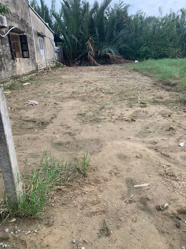 Đất nền Cẩm Thanh 120m² giá 2 tỷ - View dừa thoáng mát