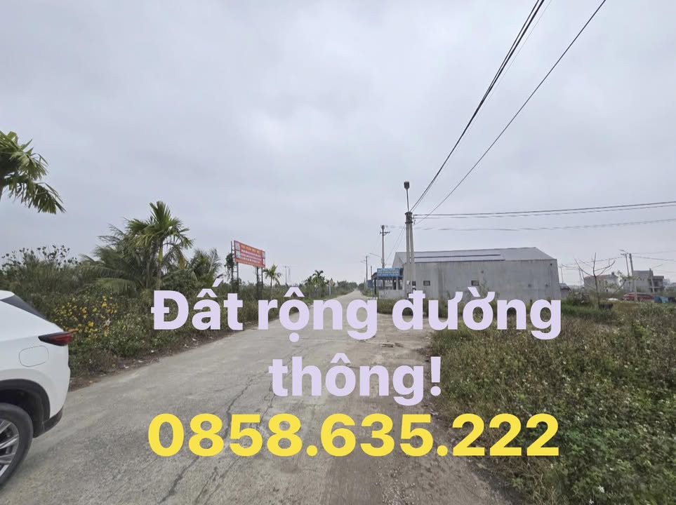 Đất nền khu đấu giá Khánh Nhạc 90m² giá chỉ 1.7 tỷ - Đầu tư sinh lời ngay!