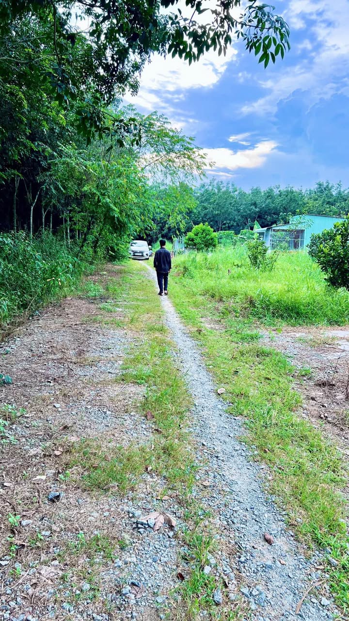 Đất nền Long Nguyên 1079m² giá chỉ 890 triệu - Cơ hội đầu tư tuyệt vời!