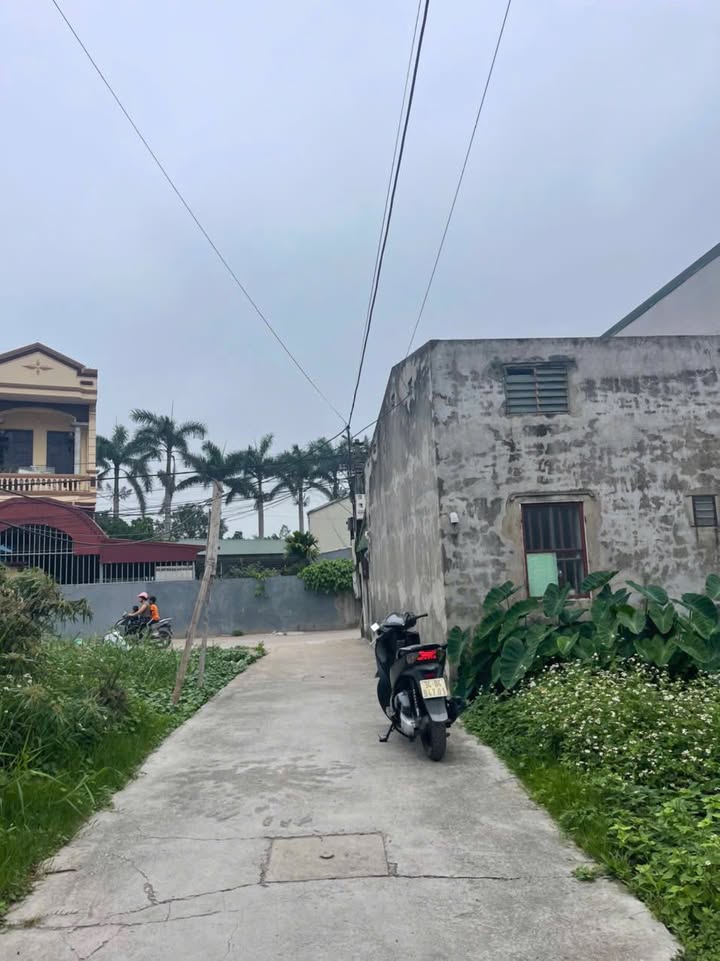 Đất ngõ phố Nhị Châu, Hải Dương 47.4m² giá 1.2 tỷ - Đầu tư sinh lời!