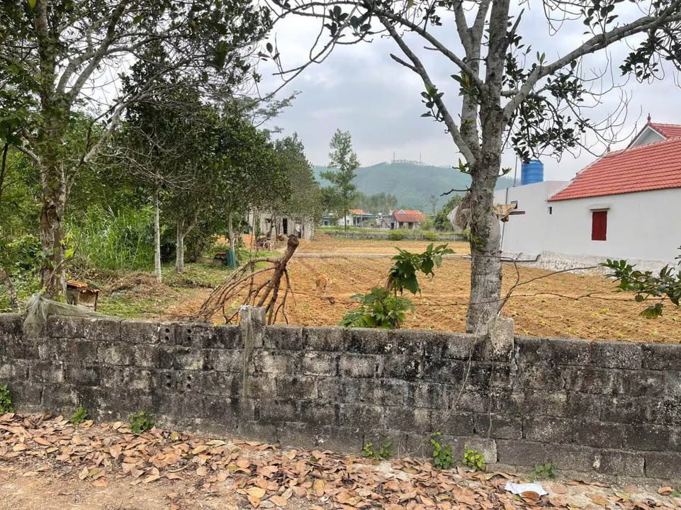 Đất thổ cư xã Quỳnh Vinh 144m² giá chỉ 5xx triệu - Sổ hồng trao tay!