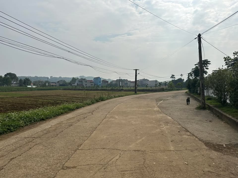 Đất thổ cư Thôn Song, Cẩm Ngọc 850m² giá 900 triệu - Đầu tư sinh lời ngay!