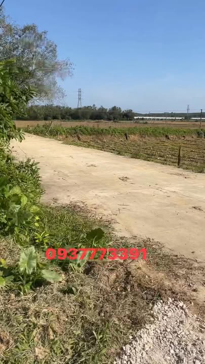 Đất ở xã Duy Phước 1000m² - Cơ hội đầu tư tuyệt vời!