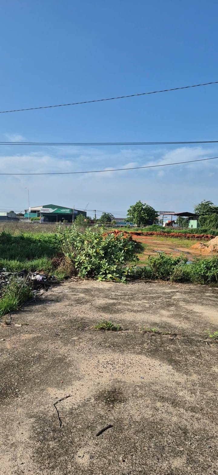 Đất thổ cư 100m² tại xã Hàm Thắng, huyện Hàm Thuận Bắc giá 1.1 tỷ - Sổ đỏ chính chủ