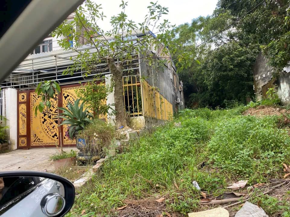 Đất nền Phú Xá 280m² giá chỉ 3 tỷ - Đầu tư hoàn hảo!