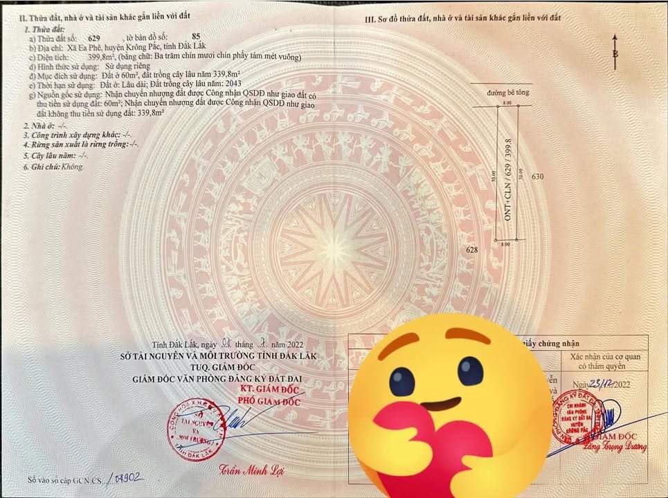 Đất nền 42 trục chính Huyện Krông Pắc 300m² giá 9x triệu - Cơ hội đầu tư hấp dẫn!