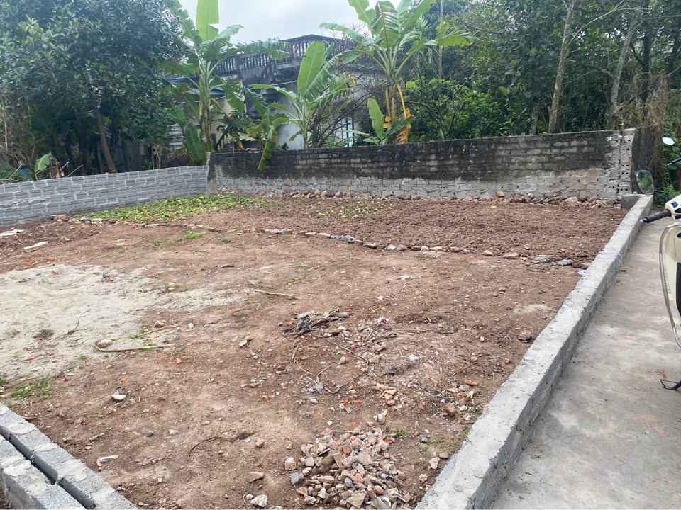 Đất nền Thượng Văn, Yên Nam 168m² giá 3 tỷ - Cơ hội đầu tư hấp dẫn!