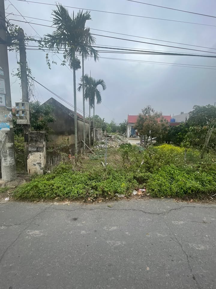 Đất nền đẹp Xóm 2, xã Kim Đông 150m² giá thỏa thuận - Tiềm năng đầu tư cao!