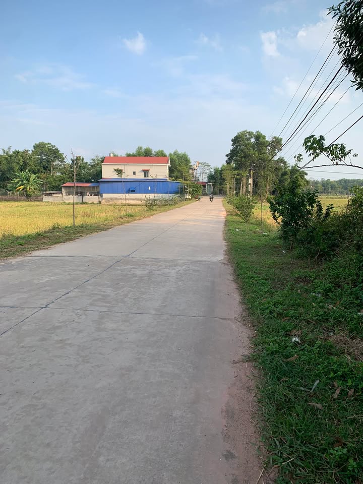 Đất thổ cư Làng Hân, Tân Hòa 168m² giá 700 triệu - Cơ hội đầu tư hiếm có!