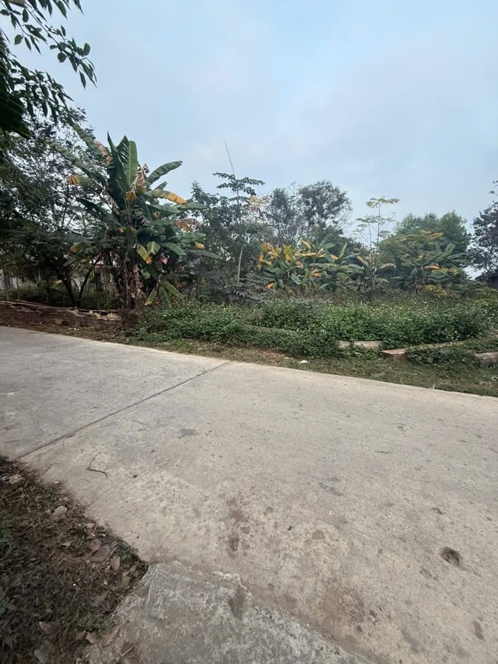 Đất nền kinh doanh tại Huyện Lạng Giang 140m² - Giá chỉ 800 triệu!