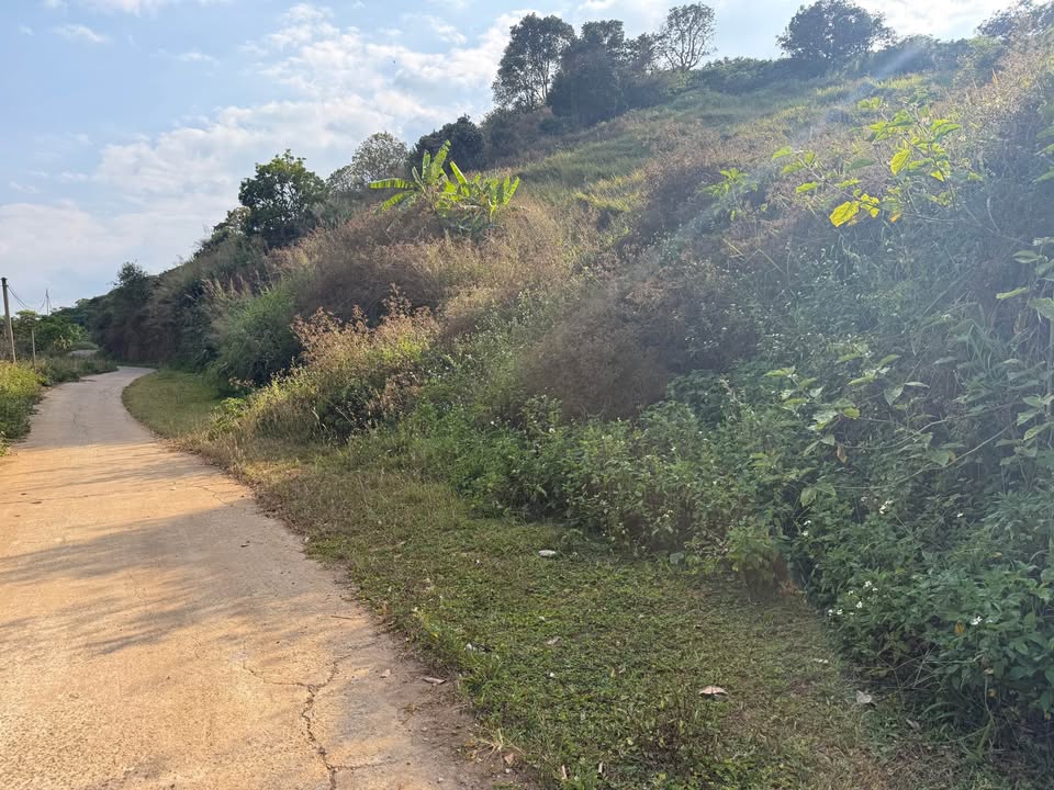 Đất nền Nam Ban, Lâm Hà 1.700m² giá 1.7 tỷ - Phong thủy đẹp, lưng tựa đồi thông!