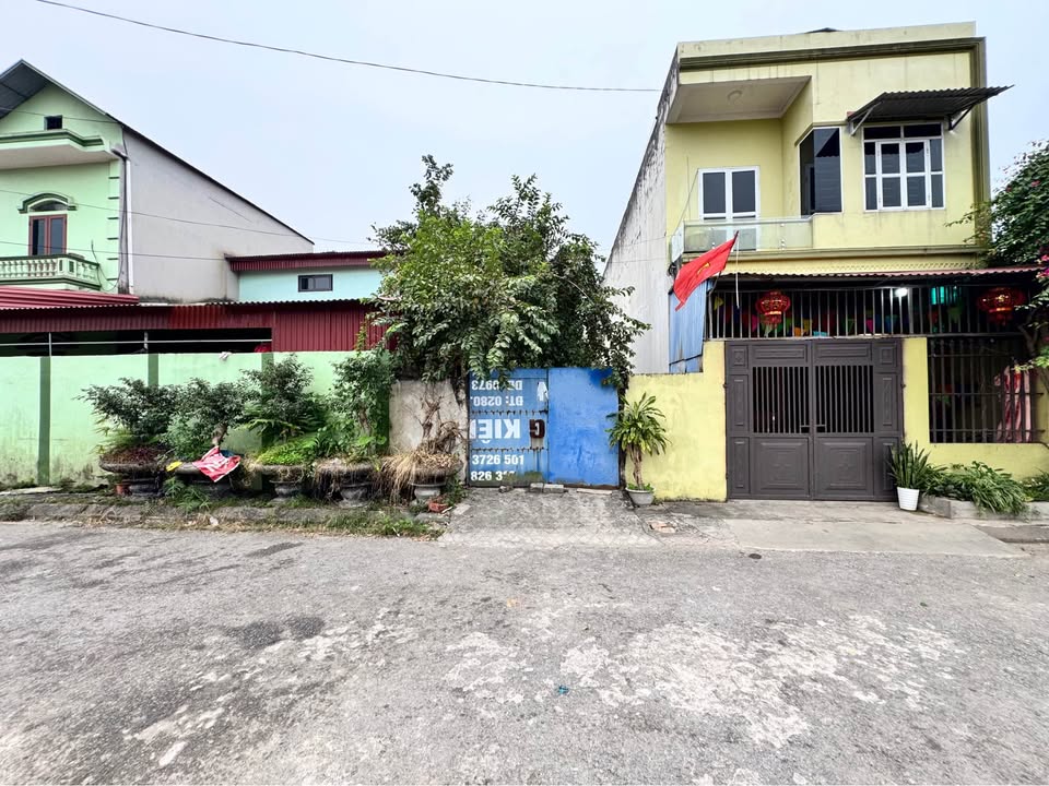 Đất nền TDC Z115, Xã An Phước, 100m² giá 2 tỷ - Cơ hội đầu tư hấp dẫn!