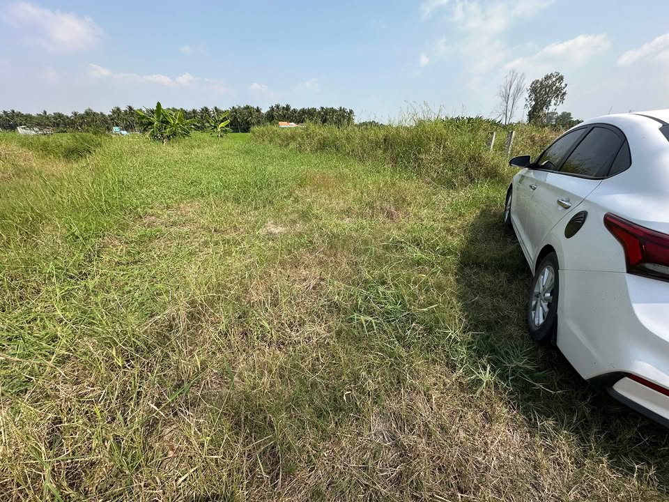 Đất thổ cư 125m² tại Lạc Tấn, Tân Trụ - Giá chỉ 379 triệu, hướng Tây Nam!