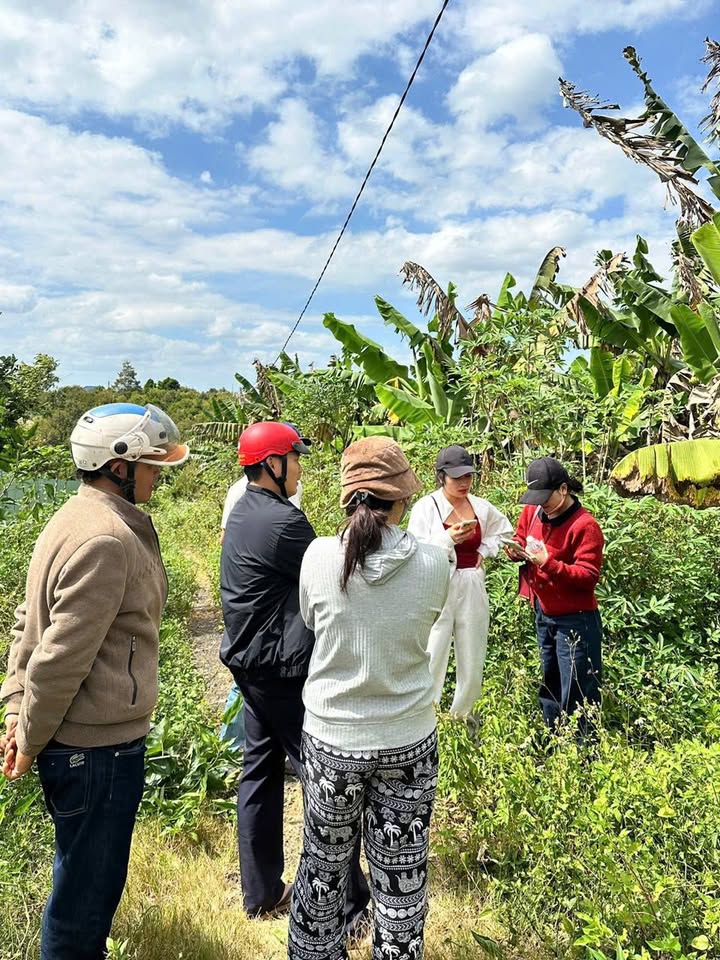 Đất nền Lộc An, Bảo Lâm 104m² giá chỉ 499 triệu - Cơ hội đầu tư tuyệt vời!