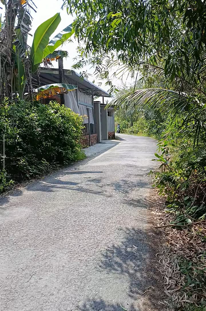 Đất nền Ấp Cầu Dừa, Đồng Tháp 262m² giá 800 triệu - Sổ hồng riêng, gần chợ Kinh 12!