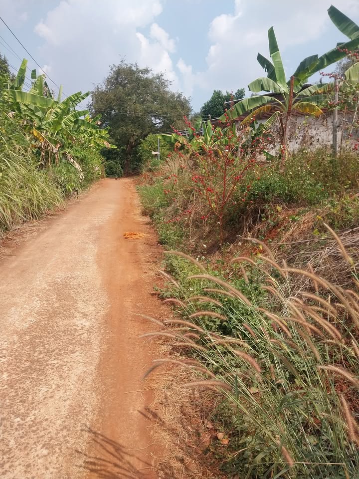 Đất nền Ấp 5 Lộc Thái 400m² giá chỉ 300 triệu - Cơ hội đầu tư tuyệt vời!