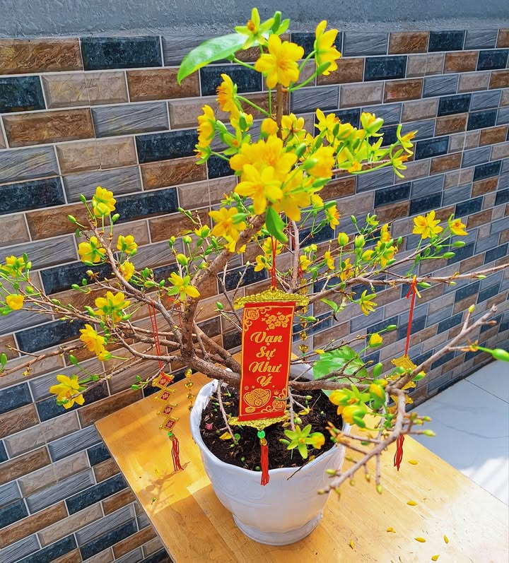 Nhà nguyên căn 80m² mặt tiền Chợ Lộc Hưng - Thích hợp vừa ở vừa kinh doanh!