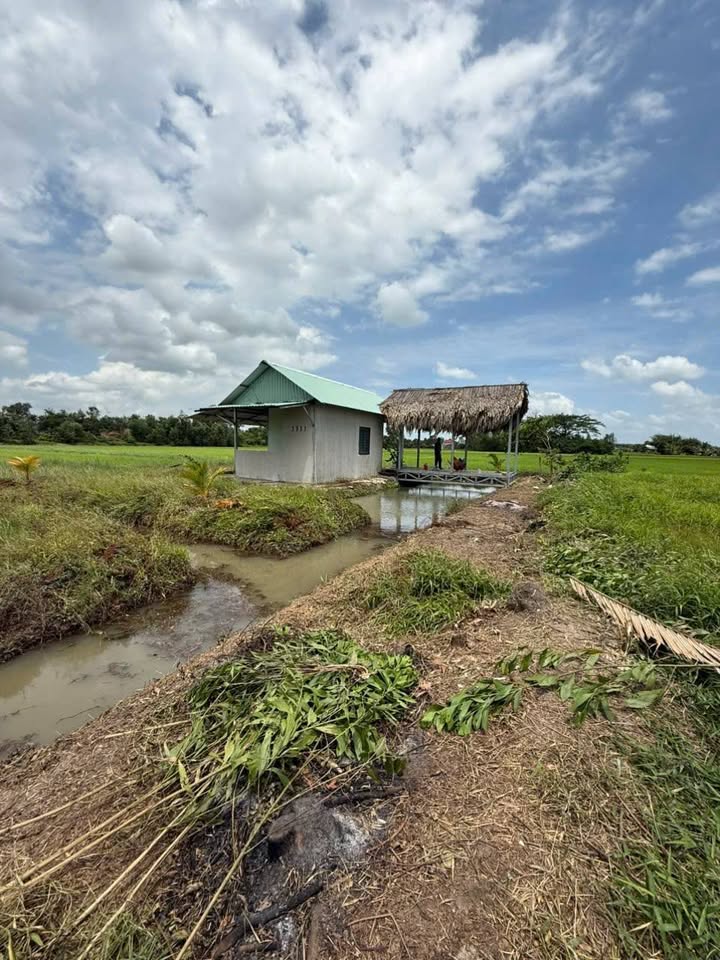 Đất nền 1000m² xã Mỹ Thạnh Đông, huyện Đức Huệ - Giá 700 triệu, đầu tư sinh lời!