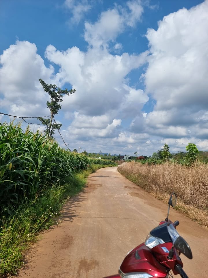 Bán đất tại Xuân Tây, Cẩm Mỹ 2.562m² giá chỉ 1 tỷ - Đầu tư sinh lời